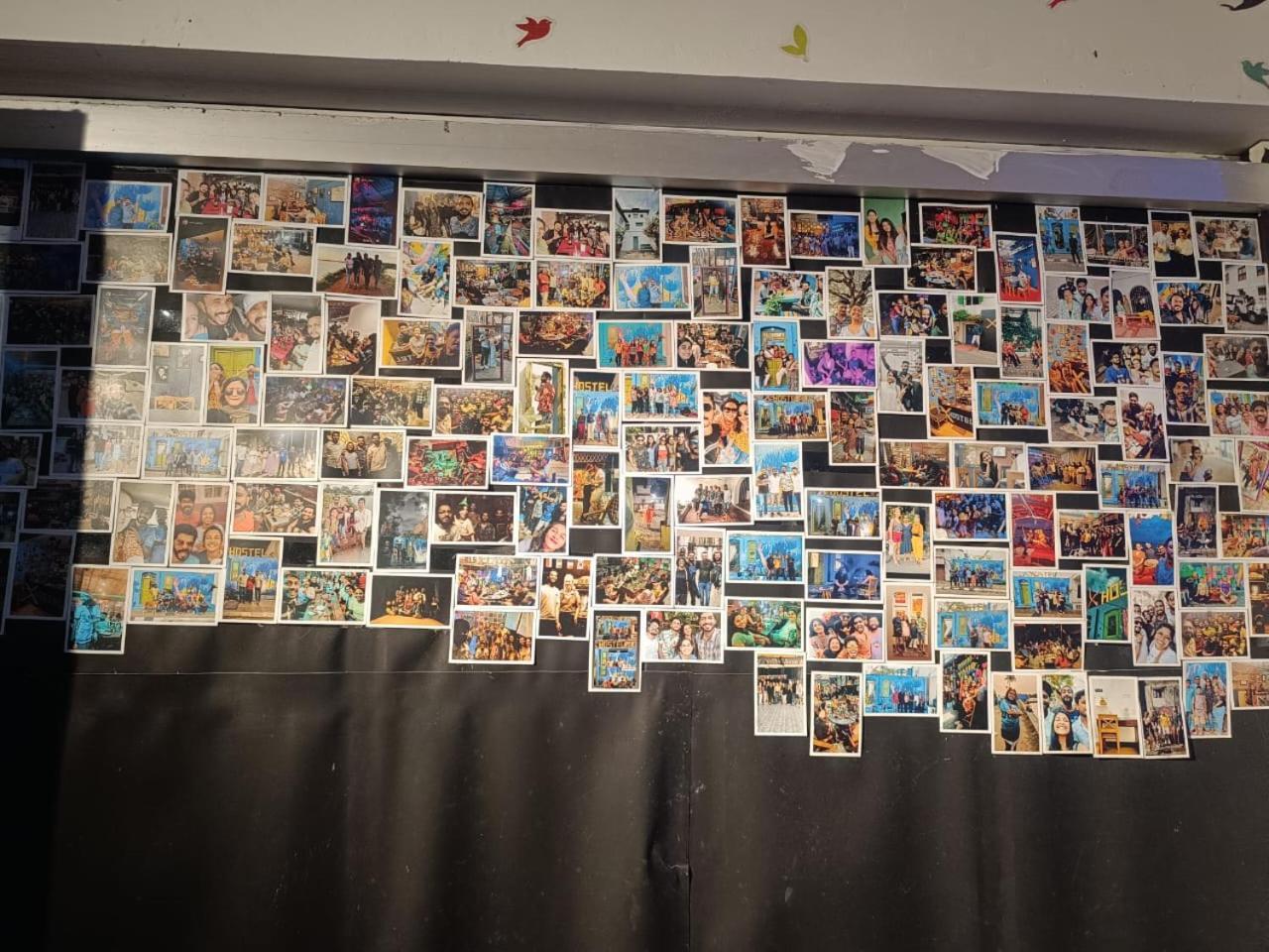 Xhostel Hostel Kochi エクステリア 写真