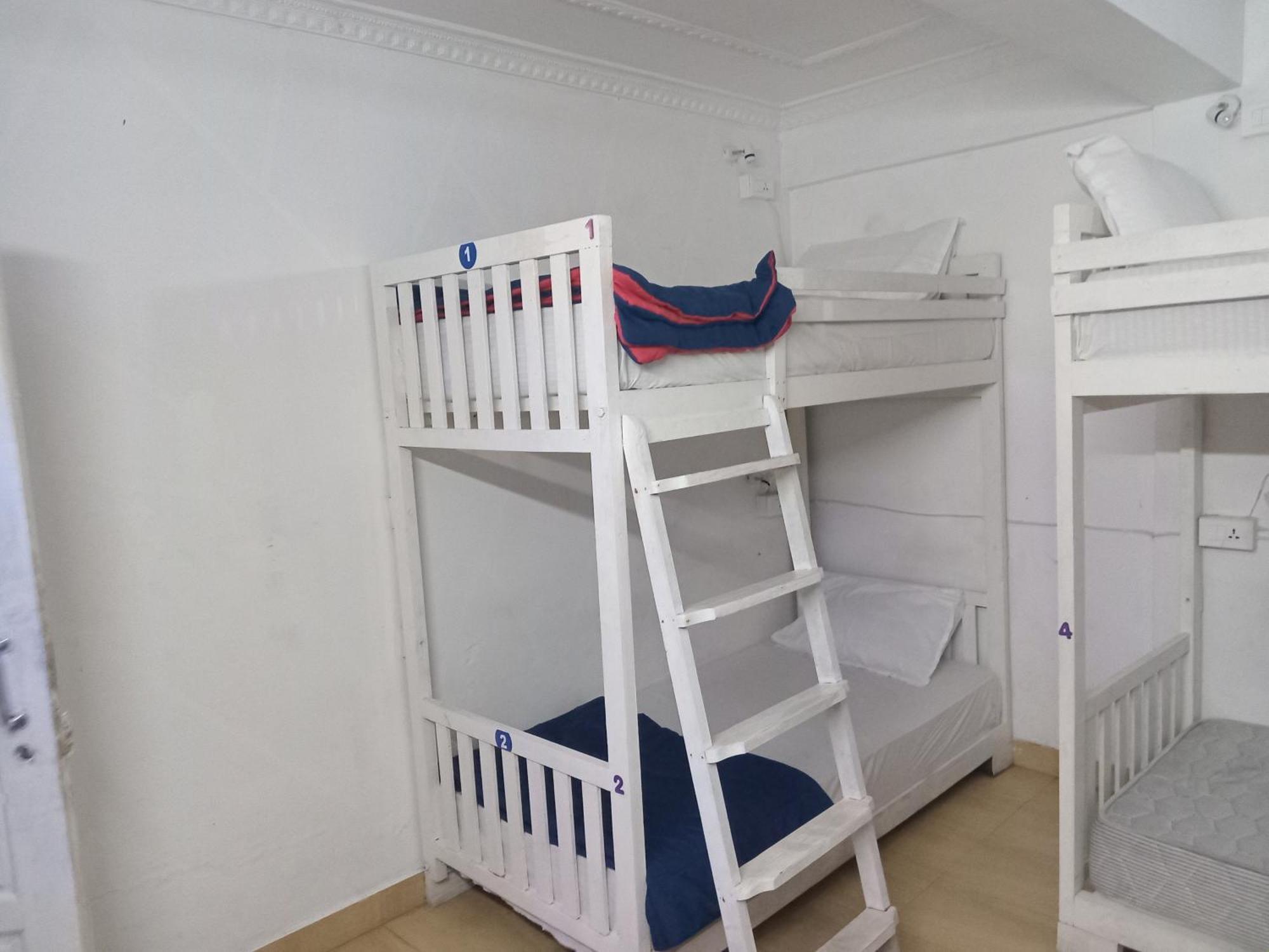 Xhostel Hostel Kochi エクステリア 写真