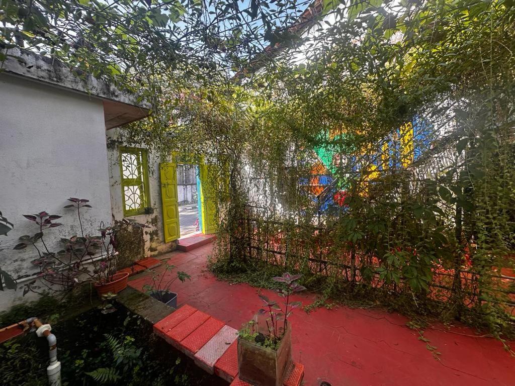 Xhostel Hostel Kochi エクステリア 写真