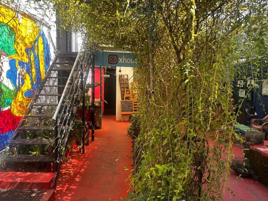 Xhostel Hostel Kochi エクステリア 写真